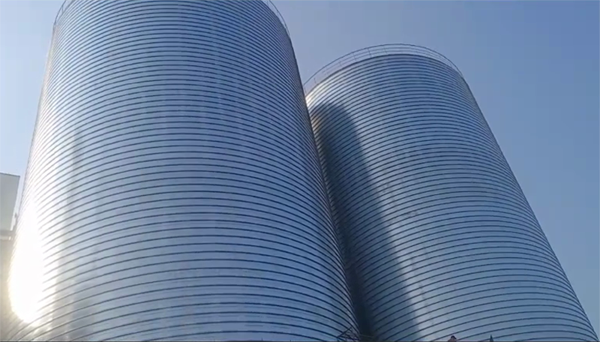 泗阳2座混凝土高架卷板仓